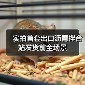实拍首套出口沥青拌合站发货前全场景（图2）