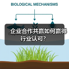 企业合作共赢如何赢得行业认可？（图1）