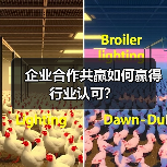 企业合作共赢如何赢得行业认可？（图3）