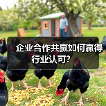 企业合作共赢如何赢得行业认可？（图4）