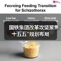 国铁集团改革攻坚聚焦 国铁集团改革攻坚聚焦