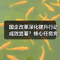 国企改革深化提升行动成效显著?核心任务完成与未来方向解析(图4) 国企改革深化提升行动成效显著?核心任务完成与未来方向解析(图4)