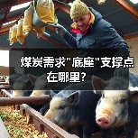 煤炭需求