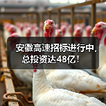 安徽高速招标进行中,总投资达48亿!(图3) 安徽高速招标进行中,总投资达48亿!(图3)