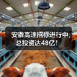 安徽高速招标进行中,总投资达48亿!(图4) 安徽高速招标进行中,总投资达48亿!(图4)