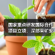 国家重点研发国际合作项目立项,深部采矿安全高效技术攻关突破(图3) 国家重点研发国际合作项目立项,深部采矿安全高效技术攻关突破(图3)