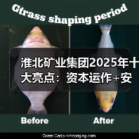 淮北矿业集团2025年十大亮点:资本运作+安全+党建,如何引领行业?(图2) 淮北矿业集团2025年十大亮点:资本运作+安全+党建,如何引领行业?(图2)