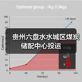 贵州六盘水水城区煤炭储配中心投运(图3) 贵州六盘水水城区煤炭储配中心投运(图3)