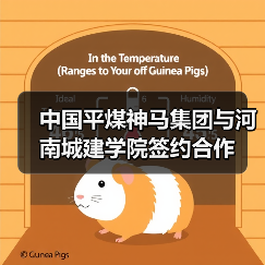 中国平煤神马集团与河南城建学院签约合作(图1) 中国平煤神马集团与河南城建学院签约合作(图1)