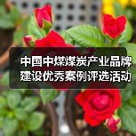 中国中煤煤炭产业品牌建设优秀案例评选活动成功举办(图2) 中国中煤煤炭产业品牌建设优秀案例评选活动成功举办(图2)
