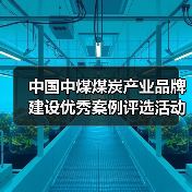 中国中煤煤炭产业品牌建设优秀案例评选活动成功举办(图4) 中国中煤煤炭产业品牌建设优秀案例评选活动成功举办(图4)