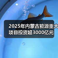 2025年内蒙古能源重大项目投资超3000亿元(图4) 2025年内蒙古能源重大项目投资超3000亿元(图4)