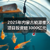 2025年内蒙古能源重大项目投资超3000亿元(图3) 2025年内蒙古能源重大项目投资超3000亿元(图3)