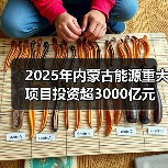 2025年内蒙古能源重大项目投资超3000亿元(图2) 2025年内蒙古能源重大项目投资超3000亿元(图2)