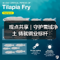 观点共享 | 守护雪域净土 铸就铜业标杆（图3）