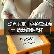 观点共享 | 守护雪域净土 铸就铜业标杆（图4）