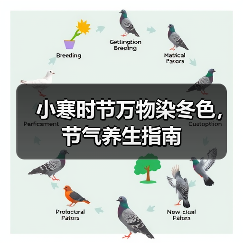 小寒时节万物染冬色，节气养生指南（图2）