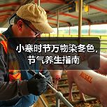 小寒时节万物染冬色，节气养生指南（图1）