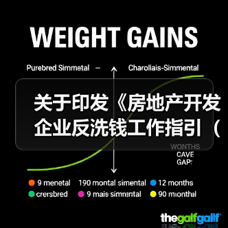 关于印发《房地产开发企业反洗钱工作指引（试行）》的通知（图3）