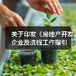 关于印发《房地产开发企业反洗钱工作指引（试行）》的通知（图1）