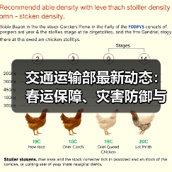 交通运输部最新动态:春运保障、灾害防御与新质生产力布局哪些重点值得关注?(图3) 交通运输部最新动态:春运保障、灾害防御与新质生产力布局哪些重点值得关注?(图3)