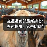 交通运输部最新动态:春运保障、灾害防御与新质生产力布局哪些重点值得关注?(图1) 交通运输部最新动态:春运保障、灾害防御与新质生产力布局哪些重点值得关注?(图1)