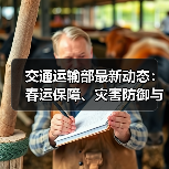 交通运输部最新动态:春运保障、灾害防御与新质生产力布局哪些重点值得关注?(图4) 交通运输部最新动态:春运保障、灾害防御与新质生产力布局哪些重点值得关注?(图4)
