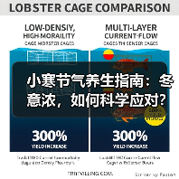 小寒节气养生指南：冬意浓，如何科学应对？（图2）