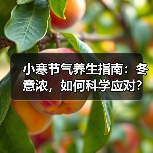 小寒节气养生指南：冬意浓，如何科学应对？（图1）