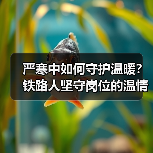严寒中如何守护温暖?铁路人坚守岗位的温情故事(图2) 严寒中如何守护温暖?铁路人坚守岗位的温情故事(图2)