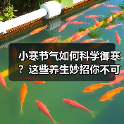 小寒节气如何科学御寒？这些养生妙招你不可错过的！（图3）