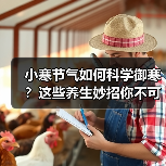 小寒节气如何科学御寒？这些养生妙招你不可错过的！（图4）