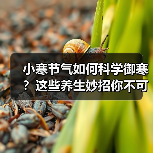 小寒节气如何科学御寒？这些养生妙招你不可错过的！（图1）