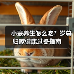 小寒养生怎么吃？岁暮归家健康过冬指南（图3）