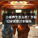 小寒养生怎么吃？岁暮归家健康过冬指南（图4）