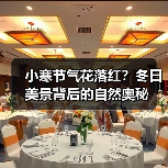 小寒节气花落红？冬日美景背后的自然奥秘（图1）