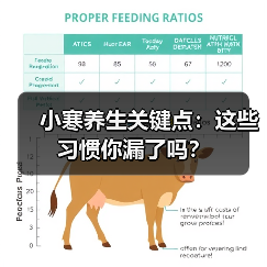 小寒养生关键点：这些习惯你漏了吗？（图4）