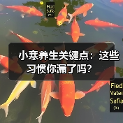 小寒养生关键点：这些习惯你漏了吗？（图1）