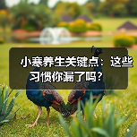 小寒养生关键点：这些习惯你漏了吗？（图3）
