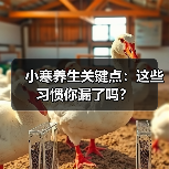 小寒养生关键点：这些习惯你漏了吗？（图2）