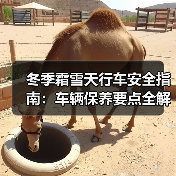 冬季霜雪天行车安全指南：车辆保养要点全解析（图4）