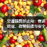 交通强国新动向:春运数据、政策解读与安全保障全解析(图4) 交通强国新动向:春运数据、政策解读与安全保障全解析(图4)