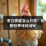 冬日保暖怎么升级？焕新铠甲体验揭秘（图1）