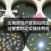 云南房地产政策如何通过要素联动实现住有优居与五稳目标(图3) 云南房地产政策如何通过要素联动实现住有优居与五稳目标(图3)