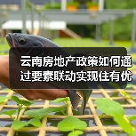 云南房地产政策如何通过要素联动实现住有优居与五稳目标(图4) 云南房地产政策如何通过要素联动实现住有优居与五稳目标(图4)