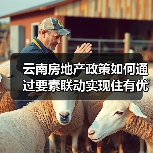 云南房地产政策如何通过要素联动实现住有优居与五稳目标(图1) 云南房地产政策如何通过要素联动实现住有优居与五稳目标(图1)