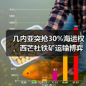 几内亚突抢30%海运权,西芒杜铁矿运输博弈升级(图1) 几内亚突抢30%海运权,西芒杜铁矿运输博弈升级(图1)