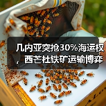 几内亚突抢30%海运权,西芒杜铁矿运输博弈升级(图4) 几内亚突抢30%海运权,西芒杜铁矿运输博弈升级(图4)