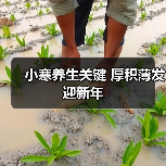 小寒养生关键 厚积薄发迎新年（图2）