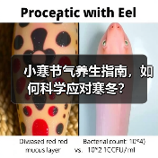 小寒节气养生指南，如何科学应对寒冬？（图4）